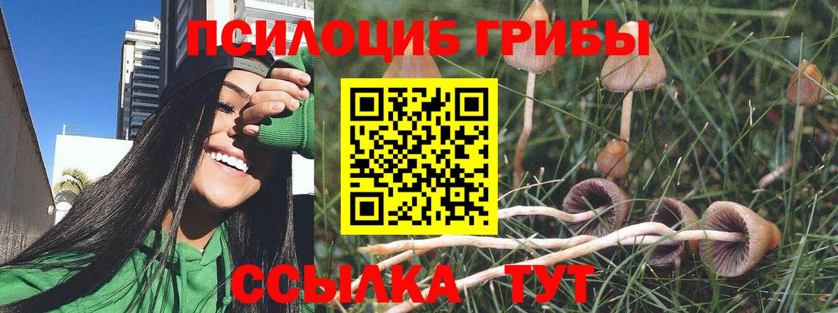 Псилоцибиновые грибы Cubensis  Вход с VPN  Галлюциногенные грибы GOLDEN TEACHER  Можга 